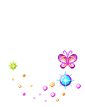Bomg hong 1